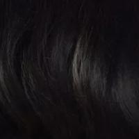 Zury Sis Naturali Star Synthetic Hair Lace Front Wig - NAT LACE H RIX - Image 9